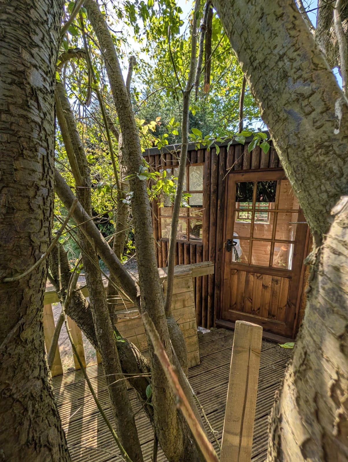 Bespoke timber treehouse exterior among mature trees, built by Cover It Building